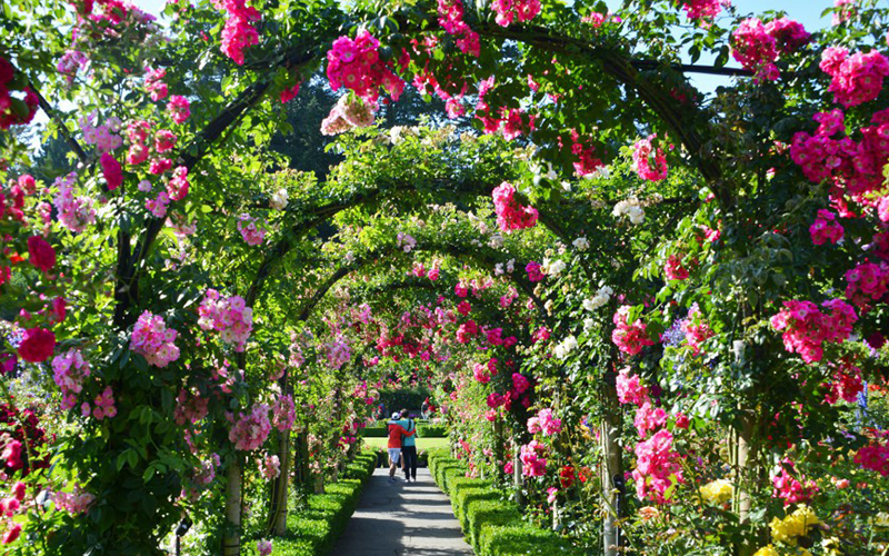 THE BUTCHART GARDENS | VANCOUVER