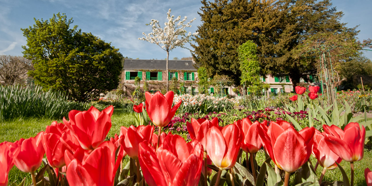 MONTE IN GIVERNY by Jonathan Hall